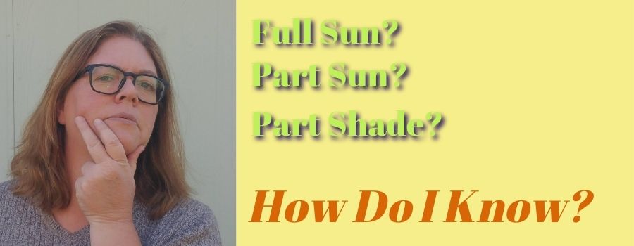 What Is Full Sun Part Shade, How Much Sun Is Full To Part Shade
