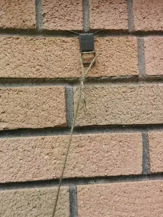 Hang Things On A Brick Wall, Outdoor Command Strips For Brick